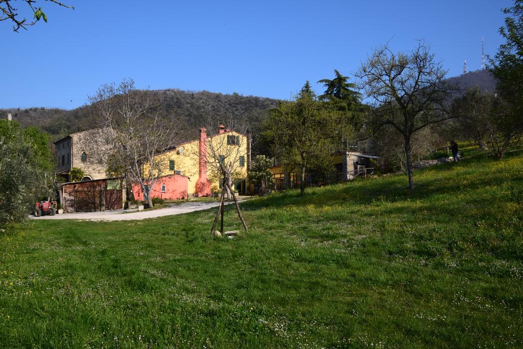 Agriturismo Podere Villa Alessi Cinto Euganeo Exteriér fotografie